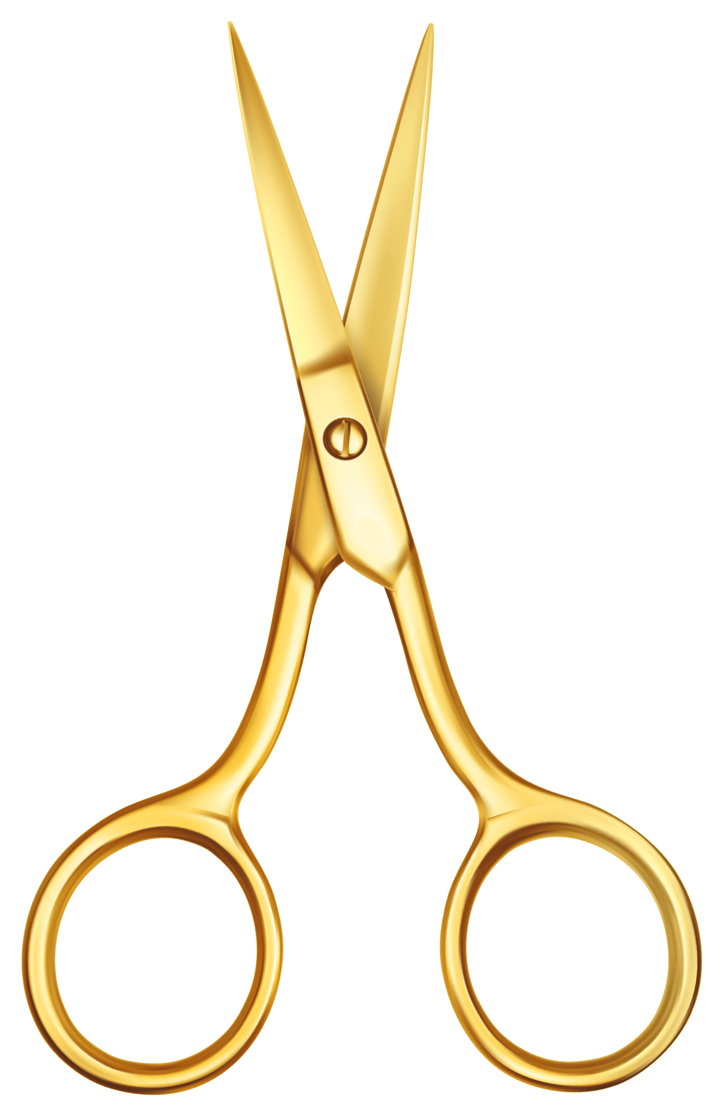 aranyolló díj